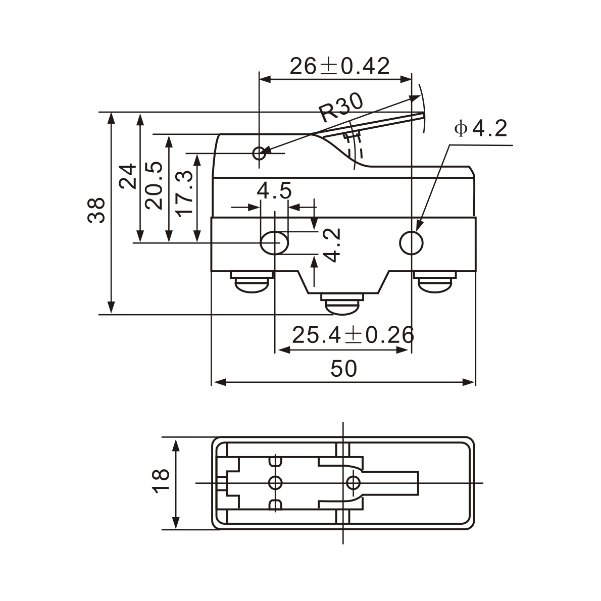 Z-15GW21-B Short Hinge, Stainless Steel Lever Micro Limit Switch-1